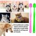 3PCS Pet Toothbrush Durable Dog Toothbrush and Toothpaste for Deep Cleaning 360 Silicone Brush Head Cat Toothbrush and Paste Comfortable to Use for Small Cats and Dogs Oral Care(Blue Pink Green) - Buy Online on GoSupps.com