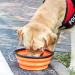 Vigime Foldable Dog Bowl Set - Portable Travel Water Bowls for Dogs & Cats (5PCs 350ml) with Carabiner Hook - Ideal for Hiking Walking and Outdoor Adventures - Buy Online on GoSupps.com