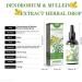 Clearbreath Dendrobium & Mullein Extract - 30ML Powerful Lung Support Drops | Alcohol-Free Respiratory Care Herbal Essence - Buy Online on GoSupps.com