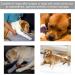 Dog Leg Protector Flexible Dog Leg Support Brace for Pet Dog (S) S Red - Buy Online on GoSupps.com