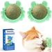 Aucenix Catnip Balls Toy for Cat Wall Catnip Roller for Cat Licking Teeth Cleaning Dental Edible Kitten Toy Natural Rotating Cat Balls Cat Nip Balls Cat Toy (Green-2pcs)