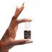 The Nailest Ultra Strong Brush-on Nail Glue 7gm - Pack of 1 - Buy Online on GoSupps.com