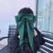 Boho Satin Hair Bow Long Bow Hair Clips Band Hair Clips Clip Large Plain Hair Bun Hair Pin French Hair Clip Scrunch ies Horse Tail Accessories (Green) - Buy Online on GoSupps.com