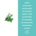 Petal Fresh Pure Rosemary & Mint Shampoo 355ml - Natural Hair Care for All Hair Types | Buy Online Worldwide - Buy Online on GoSupps.com