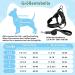 Eyein No-Pull Dog Harness with Leash Adjustable Padded & Reflective for Small to Large Pets Black (M) - Buy Online on GoSupps.com