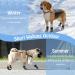 Mfsdai Adjustable Anti Slip Dog Socks - Set of 3 | Non Slip Paw Protectors for Hardwood Floors | Ideal for Small, Medium, Large & XL Dogs - Buy Online on GoSupps.com