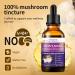 Lions Mane Mushrooms Liquid Extract Lions Mane Supplement Organic 8 Mushrooms Complex Extract Drops Up to 2 Month Supply (60ml) 60 ml (Pack of 1) - Buy Online on GoSupps.com