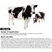 Cow Pregnancy Test 10Pcs Cow Pregnancy Diagnosis Test Paper Strips Livestock Disposable Early Pregnant Detection Testing Tool Livestock Veterinary Equipment - Buy Online on GoSupps.com