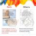 Amphol Paint by Numbers Kit - DIY Acrylic Painting for Adults and Kids | Easy 16x20 Inch Wall Decor Gift - OP-12 - Buy Online on GoSupps.com
