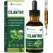 Fuenvegtal All Herbal Liquid Drops Cilantro Extract for Body Detox & Cleanse Combat Free Radicals & Immune Support. 2oz