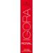 Schwarzkopf IGORA Royal 5-88 Light Brown Red Extra Hair Color - 60 ml Pack | Premium International Shipping - Buy Online on GoSupps.com