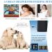 HoneyGuaridan Automatic Cat Feeder for 2 Cats - 6.5L/4.5L Pet Food Dispenser with Stainless Steel Bowl - 6 Meals - Blue - Buy Online on GoSupps.com