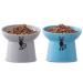 TAMAYKIM Tilted Ceramic Raised Cat Bowls, 8 OZ Food and Water Bowls Set for Kitty, 5 in Porcelain Elevated Stress Free Feeding Pet Dish, Dishwasher and Microwave Safe, Set of 2 Blue & Grey