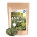 Hida Beauty Premium Leaves Cut Stalk Whole Cold Air Dried Leaves 40g Soursop Graviola Leaves Hoja De Guanabana