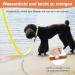 X XBen Waterproof Drag Line for Dogs - 3m to 30m Options | Durable Rubberized Leash with Lockable Carabiner for Small to Medium Dogs | Perfect for Training & Outdoor Adventures - Buy Online on GoSupps.com