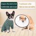 Buy Axcimond Long-Sleeved Dog Body - Post-Op Wound Protection for Small & Medium Dogs - 2XL Green | Anti-Leak Dog Cone Alternative - Buy Online on GoSupps.com