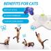 Interactive Butter-Fly Cat Toy with Rotating Flutter Bug and Replacements - For Indoor Cats by All For Paws - Buy Online on GoSupps.com