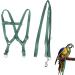 Camidy Adjustable Bird Harness and Leash Kit Macaw Cockatoos Bird Leash for Parrots Outside Training Walk for Large Bird Parrots Green L