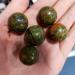 3 Natural Green red one Eye Spheres Stone JZIGTDEM - Buy Online on GoSupps.com