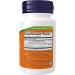 Now Foods Ginkgo Biloba Double Strength 120 mg - 50 Veg Capsules for Enhanced Memory & Focus - Buy Online on GoSupps.com