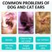 Ear Care for Dogs Ear Cleaner for Dogs provides relief for yeast infection itching and odours-first aid antiseptic ear drops for dogs is an antibacterial dog ear cleaner for puppy cats and dogs 50ml - Buy Online on GoSupps.com