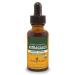 Herb Pharm Astragalus 1 fl oz (30 ml)