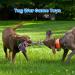 Feeko Large Dog Rope Toys 2 Pack - Heavy Duty XL Indestructible Chew Toy for Aggressive Chewers - Tug of War Dog Toy - Teeth Cleaning - 100% Cotton - Blue - Buy Online on GoSupps.com