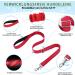 Eyein No-Pull Dog Harness & Leash - Soft Padded Reflective Adjustable for Puppies Small & Large Dogs Cats - XXS Red - Buy Online on GoSupps.com
