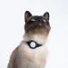 Lucybalu Premium Airtag Katzenhalsband | Tear-Resistant Nylon Cat Collar for Airtag Compatibility | Black Airtag Collar & Tracker for Cats - Buy Online on GoSupps.com