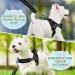Eyein No-Pull Dog Harness with Leash Adjustable Padded & Reflective for Small to Large Pets Black (M) - Buy Online on GoSupps.com
