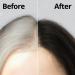 Daeng Gi Meo Ri Korean Herbal Hair Dye Cream Black - PPD-Free Gray Coverage & Hair Protection High-Keratin Formula - 5 Oz - Buy Online on GoSupps.com
