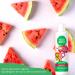 FRESH MONSTER 2-in-1 Kids Shampoo & Conditioner - Toxic-Free, Hypoallergenic Tear-Free Hair Care for Kids - Watermelon Scent - 2 Pack 8.5oz Each - Buy Online on GoSupps.com