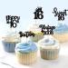 Ercadio 30 Pack Sweet 16 Cupcake Toppers Black Glitter Vintage 2008 Cupcake Picks Happy 16th Sixteen Happy Birthday Cupcake Toppers for 16th Birthday Party Cake Decoration Supplies A-vintage Black - Buy Online on GoSupps.com