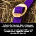 Adjustable Purple Pony Halter for Warmblood Thoroughbred & Cold Blood | Durable & Tearproof Stable & Pasture Use - Buy Online on GoSupps.com