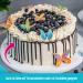 Organic Edible Butterflies by Decocino - 6 High-Quality Cake Decorations | 3D Oblate Back Decoration for Cakes Muffins & Cupcakes - Buy Online on GoSupps.com