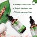 2 Pack Rosemary Oil for Hair Growth Natural Essential oil with Aromatic Experience Organic Pure Rosemary Essential Oil for Beard Growth Eyelash Care Nourishes the Scalp Skin Care 2.02 Fl Oz (Pack of 2) - Buy Online on GoSupps.com