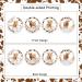 36Pcs Highland Cow Cupcake Toppers Blue for Boys Highland Cow Baby Shower Decorations Highland Cow Birthday Party Supplies - Buy Online on GoSupps.com