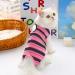 Clrybo Katzenbody | After Op Anti-Trim Cat Recovery Suit | Striped Pink | Professional Surgical Alternative for Belly Wounds & Skin Diseases - Buy Online on GoSupps.com