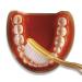 Curvex Toothbrush - Gentle and Effective Cleaning for a Healthy Smile - Buy Online on GoSupps.com