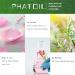 PATOIL Neroli Essential Oil 100ML - Pure Premium Grade Oil for Diffuser, Humidifier, Aromatherapy - 100 ml (Pack of 1) - Buy Online on GoSupps.com