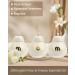 DN DECONATION Elegant Scented Candle Gift Set Room Decor - 3PCS - Buy Online on GoSupps.com
