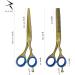 Razease Hairdressing Scissors Professional Barber Scissors Set|Titanium Coating J2 420c 6.5" Stainless Steel Hair Cutting Scissors Kit| Hairdressers Scissors for Salon Men Women | Hair Scissors(Gold) - Buy Online on GoSupps.com