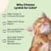 Lysine for Cats - L-Lysine for Cats - May Help with Respiratory Health Sneezing Runny Nose & More - Cat Cold Relief - Cat Sneezing Treatment - 1 fl oz - Buy Online on GoSupps.com