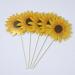 40 Pieces Sunflower Cupcake Toppers Daisy Cupcake Toppers Flower Cake Picks for Easter Spring Party Decor Baby Shower Dessert Supplies - Buy Online on GoSupps.com