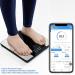 Vitafit Smart Scale: 20+ Years Body Weight & Fat Analyzer, Digital Wireless Bathroom Scale for BMI, Fat, Water, Muscle with App - 400lb Capacity - Black - Buy Online on GoSupps.com