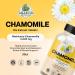 Amazing Botanicals Organic Chamomile Extract Tablets - Matricaria Chamomilla Plant-Based Supplement - 10x Extract 2000 MG Each - Promotes Relaxation - 30 Tablets - Buy Online on GoSupps.com