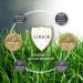 Linsor Turtles Herbal Mixture - Wild Herb Mix for Land Turtles | 50g Seeds Covering 17-50m  - Buy Online on GoSupps.com