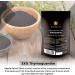Black Seed Oil Softgel Capsules - 120 Vegetarian 500mg - Egyptian Cold Pressed Nigella Sativa - Non-GMO - Made in UK by Black Seed Lab - Buy Online on GoSupps.com