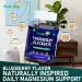 Fruitoday Magnesium Glycinate Gummies with Vitamin D3, B6, Calcium & Potassium, Blueberry Flavor, 60 Count - Buy Online on GoSupps.com