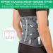 HONGJING Back Brace for Lower Back Pain Relief - Breathable Support Belt for Heavy Lifting, Sciatica, Herniated Disc - Size L - Buy Online on GoSupps.com